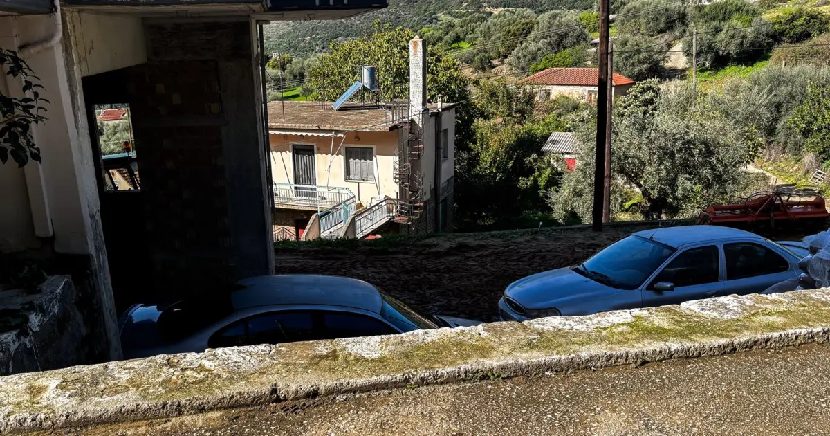 troxaio Αχαΐα 4χρονο τροχαίο με γουρούνα