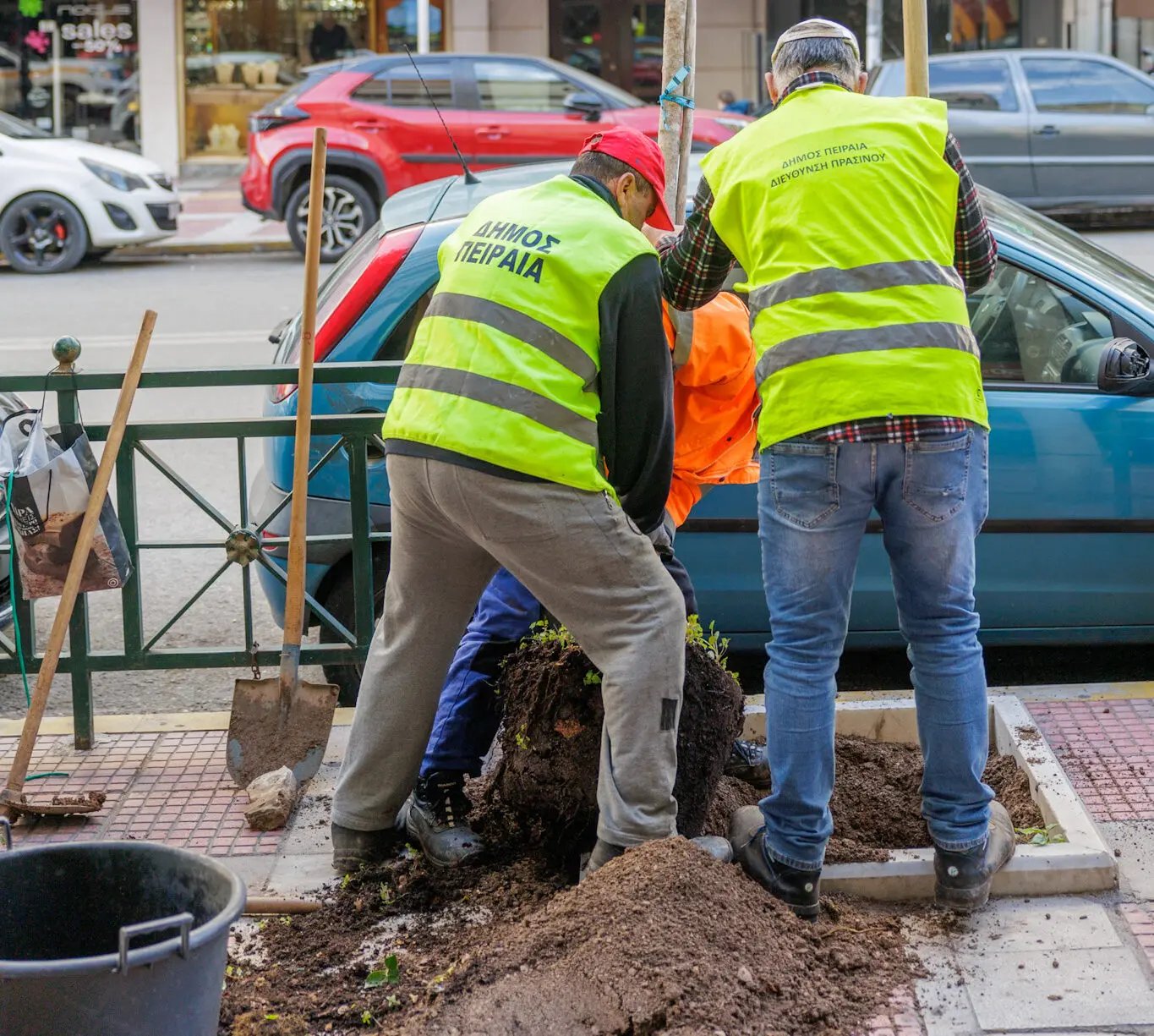 4258 φύτευση νέων δέντρων στο Πασαλιμάνι Πειραιά