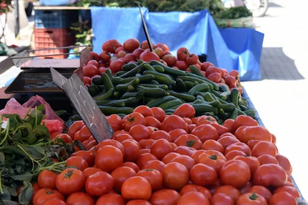 ακρίβεια λιπάσματα οπωροκηπευτικά τιμές αγορά