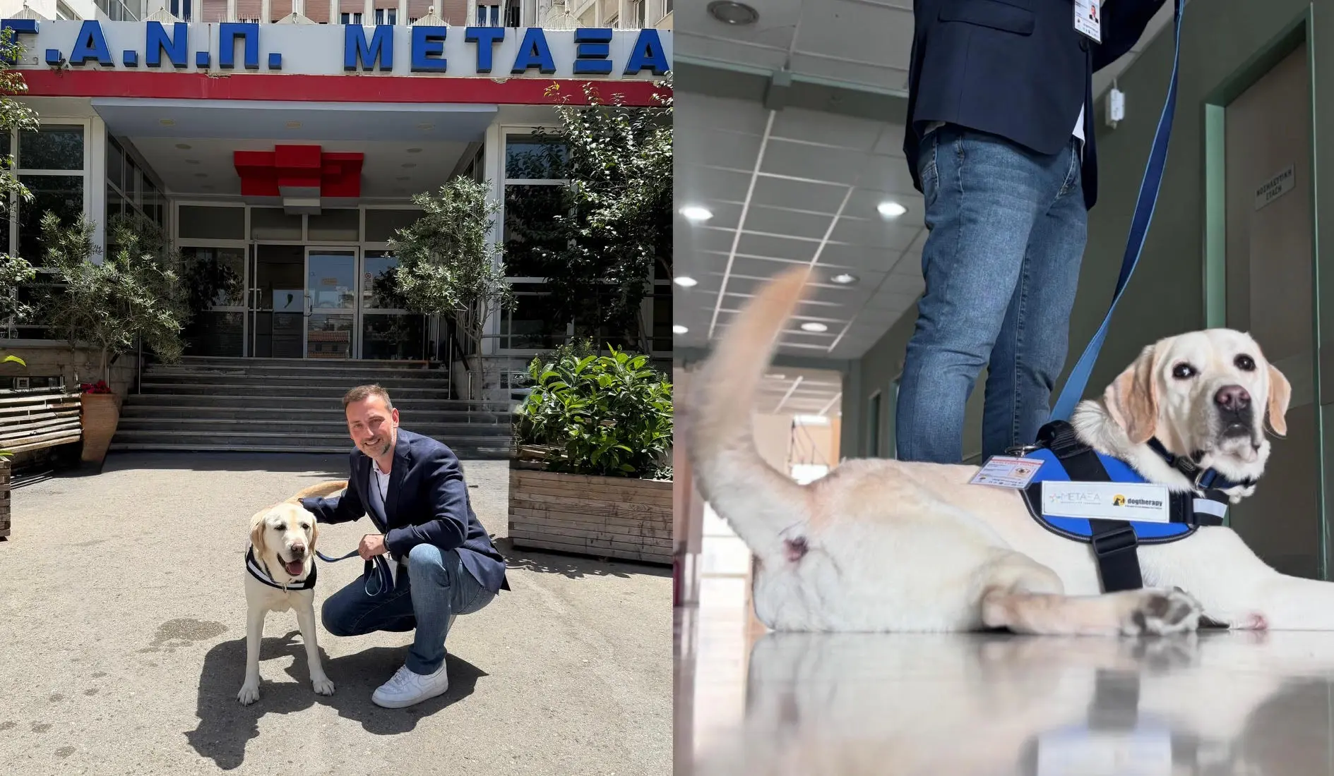 σκύλος θεραπείας Μεταξά Πειραιάς