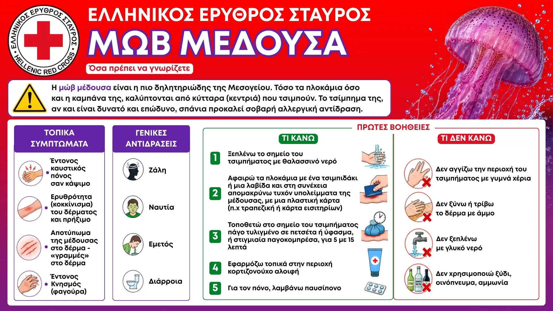 Μωβ μέδουσα: 5 οδηγίες Πρώτων Βοηθειών από τον Ερυθρό Σταυρό – Τι να κάνεις και τι να αποφύγεις