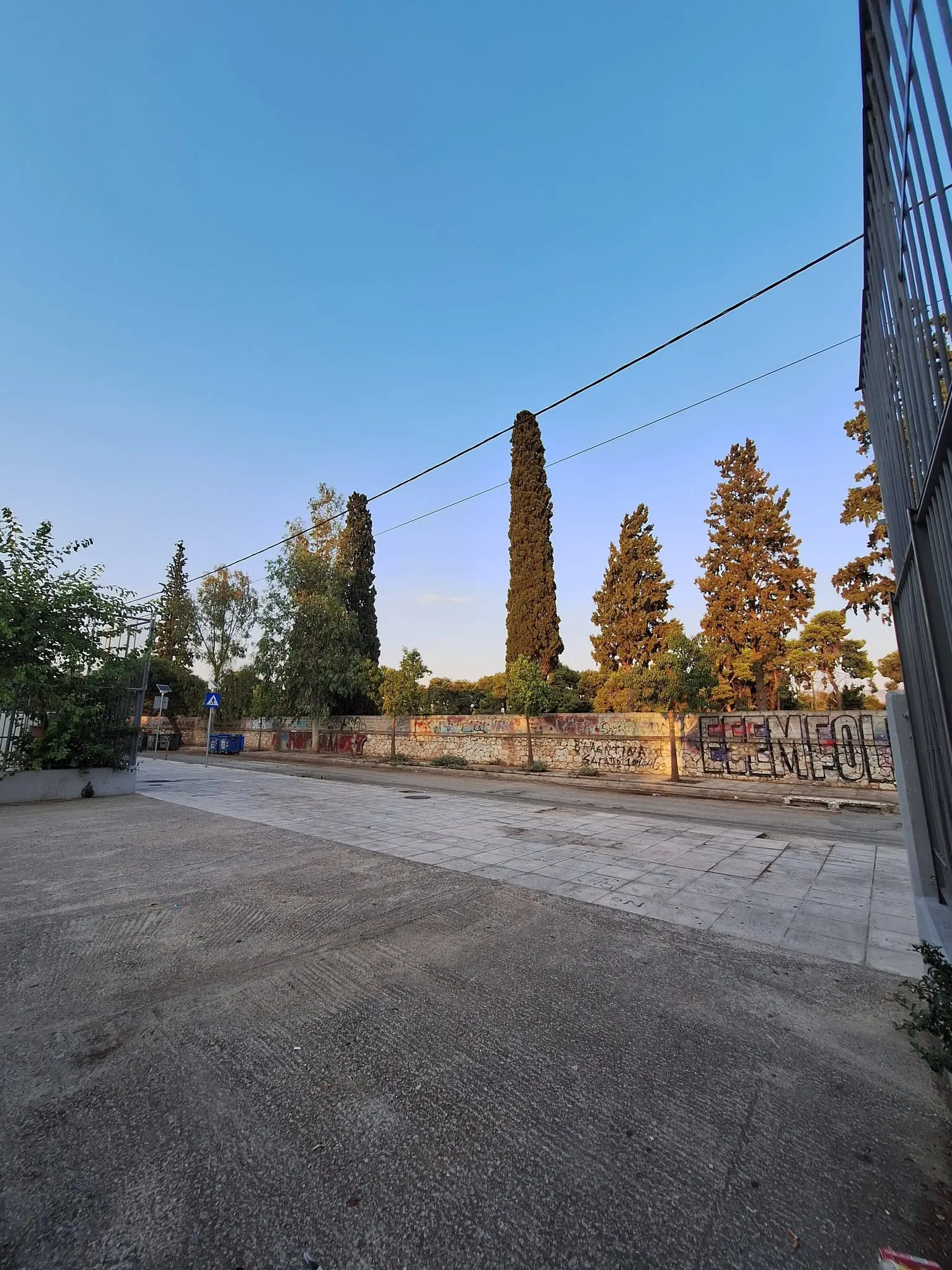 Κομμένα δέντρα στη μάντρα του 3ου Νεκροταφείου στον Κορυδαλλό