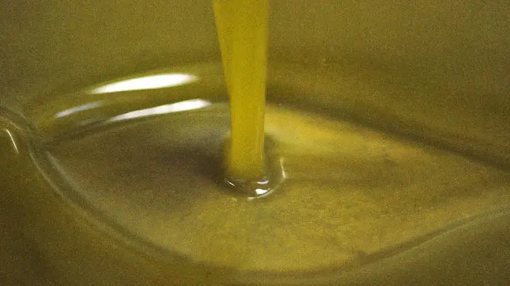w08-105657elaiolado01 Κορωνέικη ελιά ελαιόλαδο