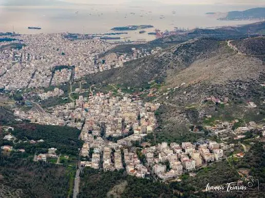 Κορυδαλλός πλατεία καταγγελία