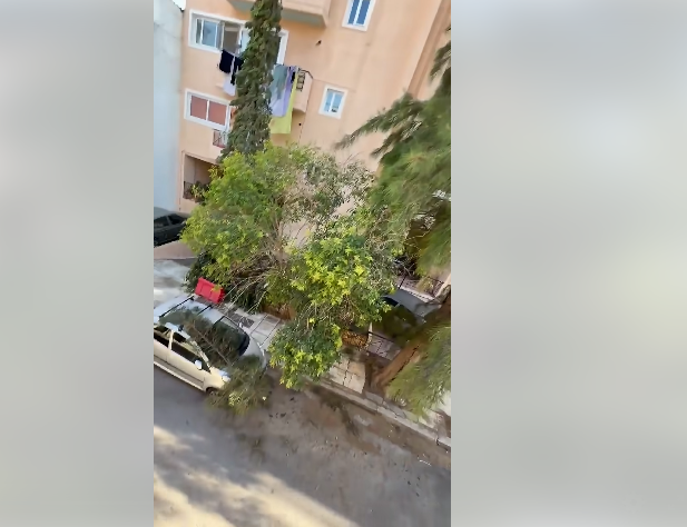ptosi Τεράστιο κλαδί «καταπλάκωσε» αυτοκίνητο στα Ταμπούρια