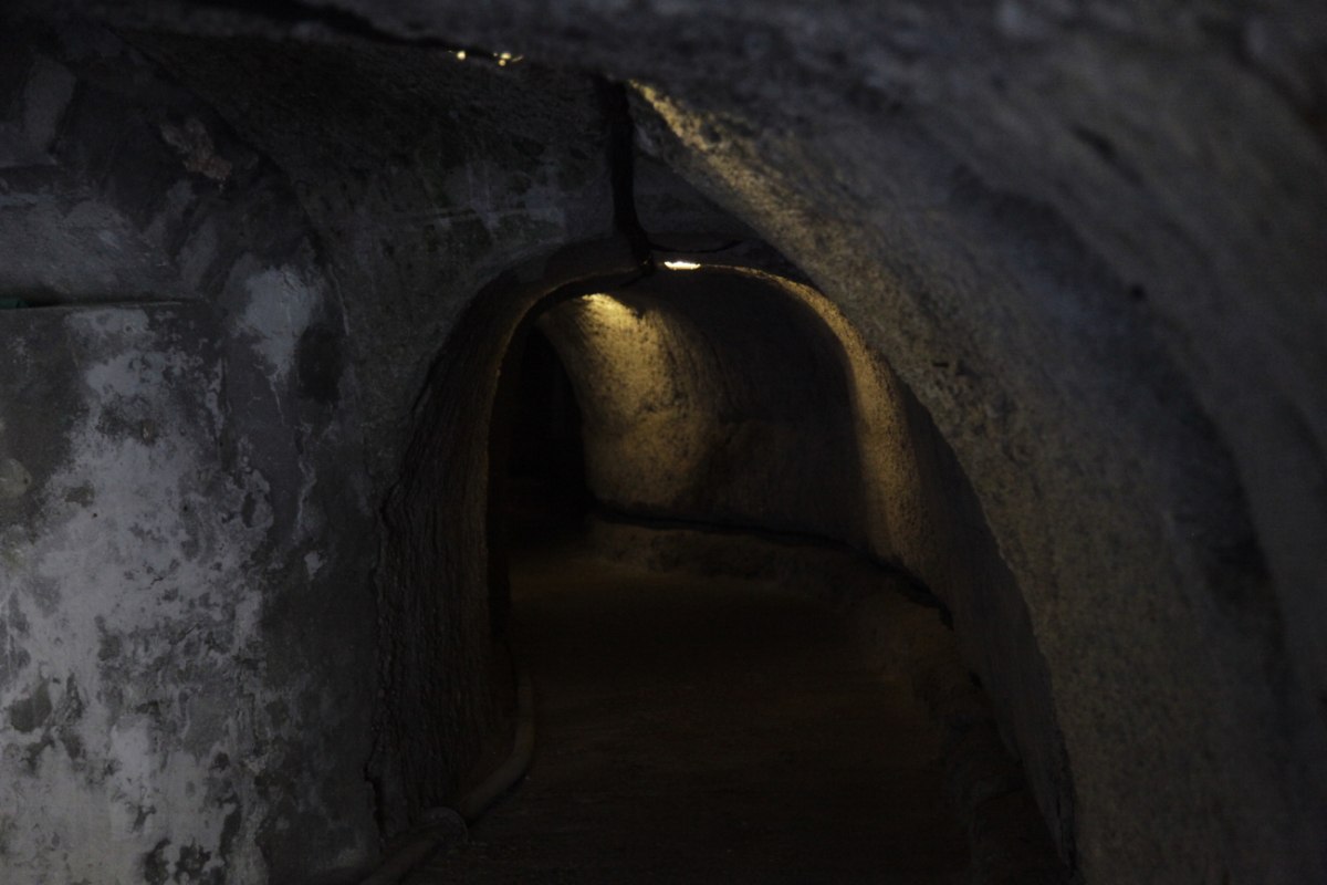 Eίσοδος πολιτικού καταφυγίου στην Ελλάδα