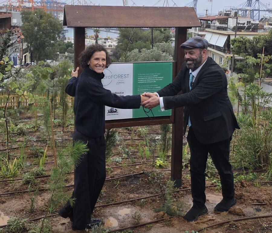 μικρο-δάσος Πέραμα