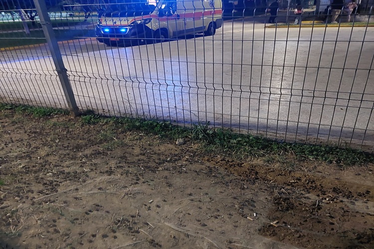 πάρκο σκύλων Κερατσίνι λακκούβες καταγγελία δημότη