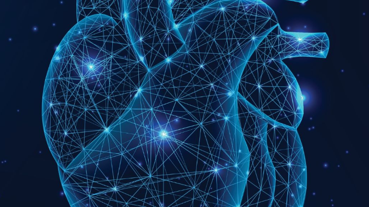 Γιατρός εφαρμόζει διακαθετηριακή τεχνική αντικατάστασης καρδιακής βαλβίδας χωρίς χειρουργείο