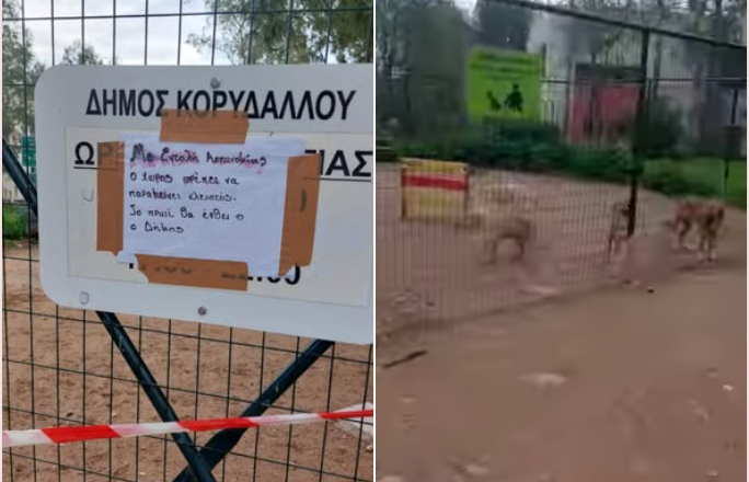Αγέλη σκύλων κλειδωμένη στο πάρκο σκύλων στα 88 στρέμματα με εντολή αστυνομίας