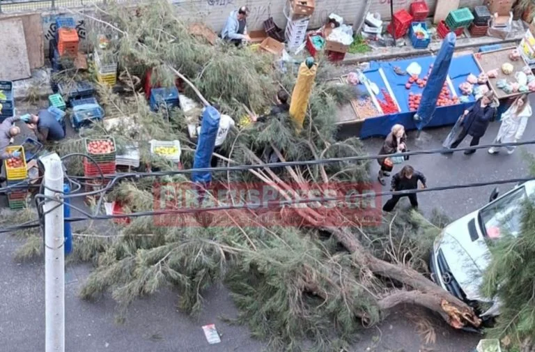 Δέντρο έπεσε σε λαϊκή αγορά στο Νέο Φάληρο Πειραιά – υλικές ζημιές χωρίς τραυματισμούς