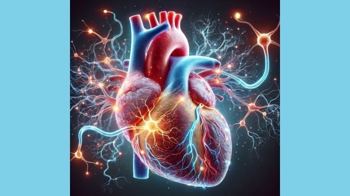 Ο καθηγητής Καρδιολογίας Κωνσταντίνος Τούτουζας μιλά για καρδιαγγειακά νοσήματα και πρόληψη