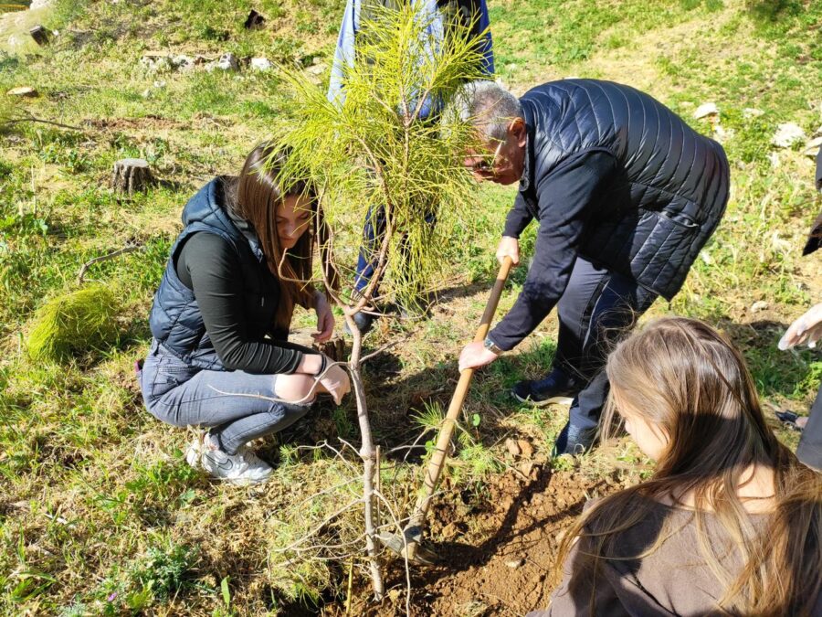 δενδροφύτευση Νίκαια ΔΑΚΑΝ