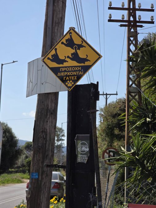 πινακίδες προστασίας αδέσποτων ζώων στη Σαλαμίνα