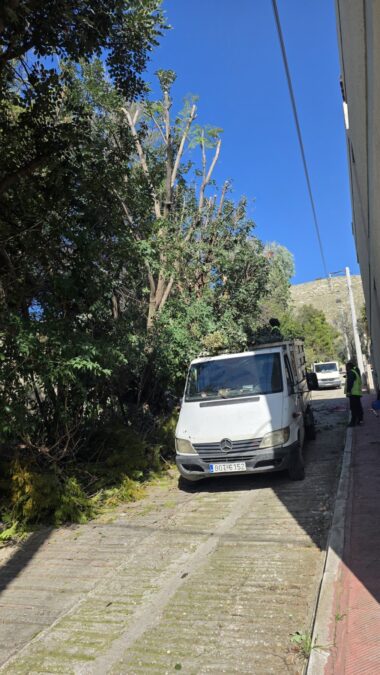 εργασίες καθαρισμού πρασίνου στο Πέραμα