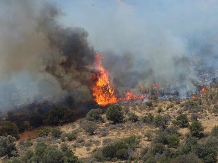 φωτιά Νεοχώρι Πήλιο 2026