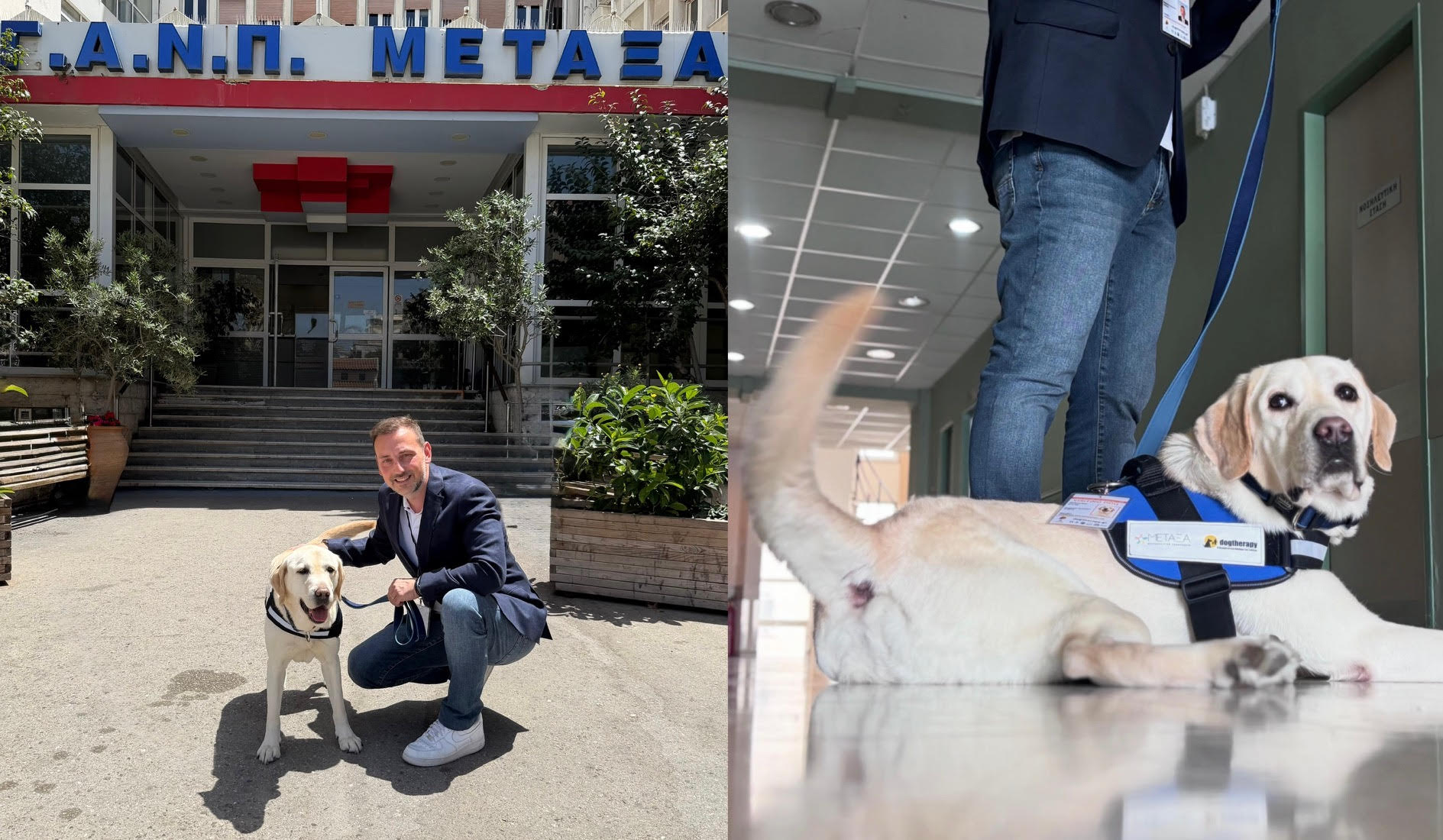 σκύλος θεραπείας Μεταξά Πειραιάς