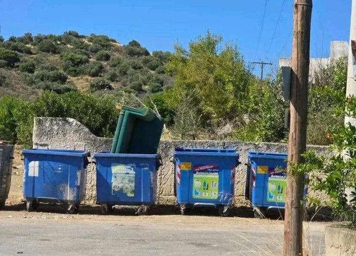 17812050879111246598485523856719-696x928 Σαλαμίνα απορρίμματα