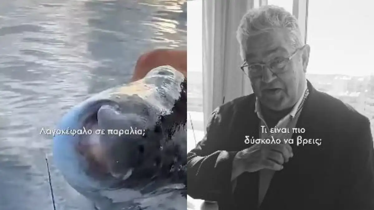 Κουτσούμπας στέγη