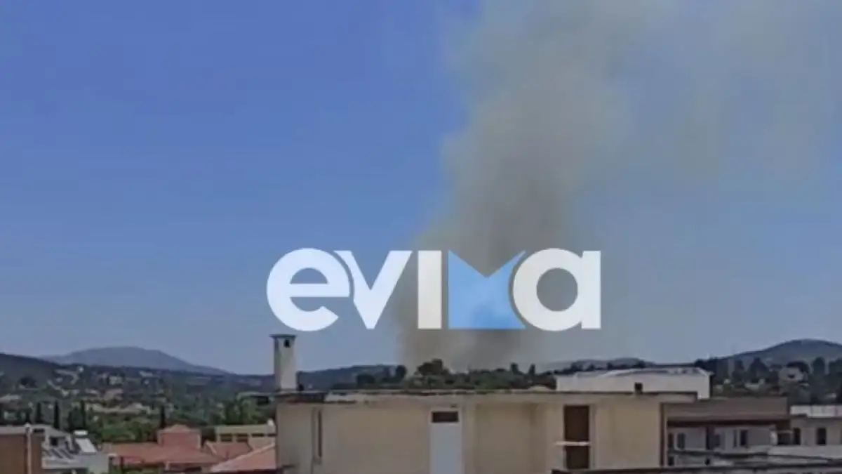 Πύρινος εφιάλτης στην Εύβοια: Μεγάλη φωτιά στο Αλιβέρι – Μήνυμα από το 112 για εκκένωση