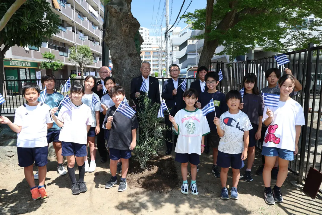 treeplanting3-1068x712 Σαλαμίνα – Misato Ιαπωνίας: Φύτευση ελιάς και νέες εκπαιδευτικές δράσεις φιλίας